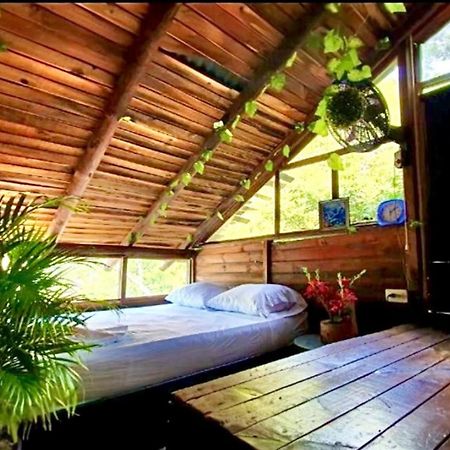 Tamarindo Beach Hostel 타강가 외부 사진