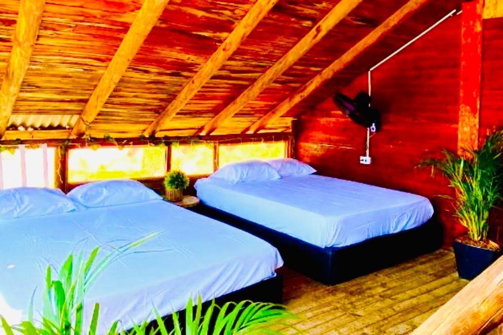 Tamarindo Beach Hostel 타강가 외부 사진