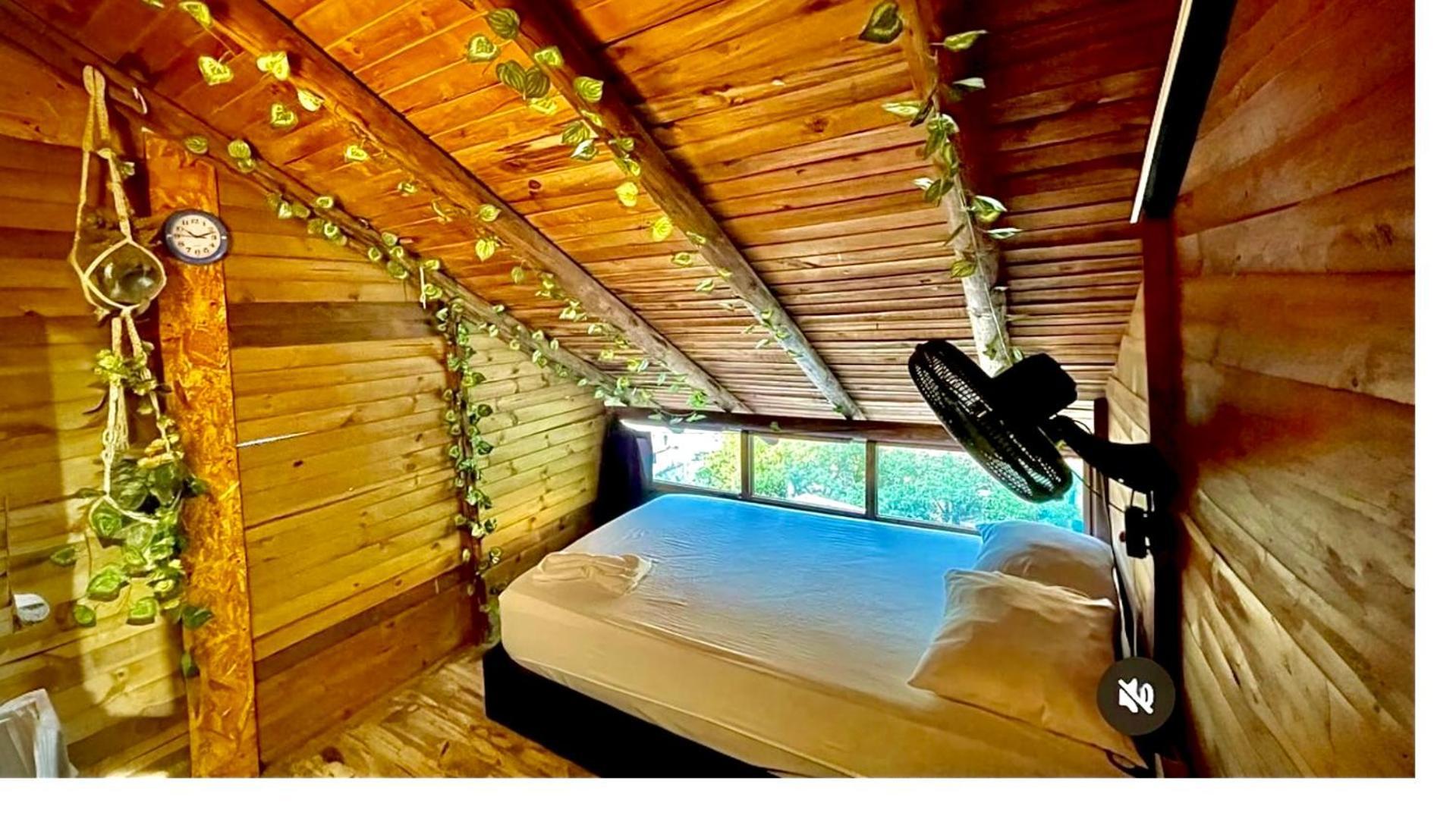 Tamarindo Beach Hostel 타강가 외부 사진