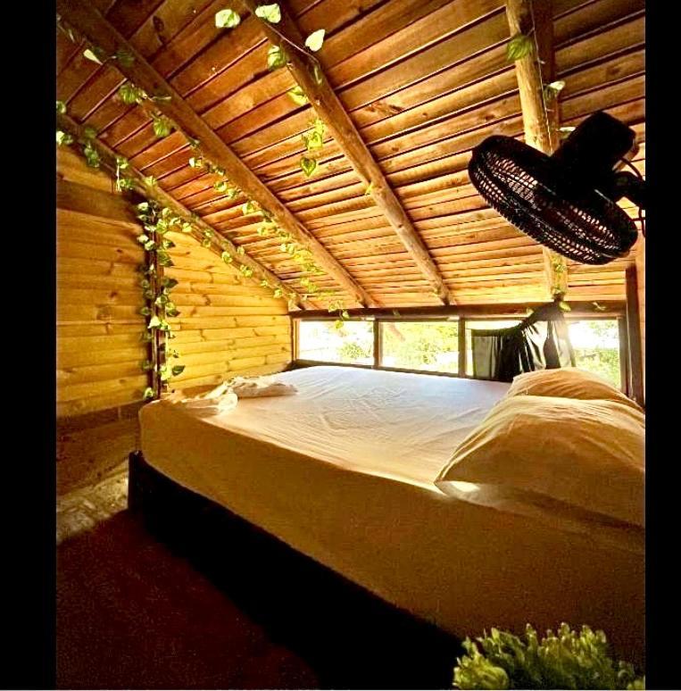 Tamarindo Beach Hostel 타강가 외부 사진