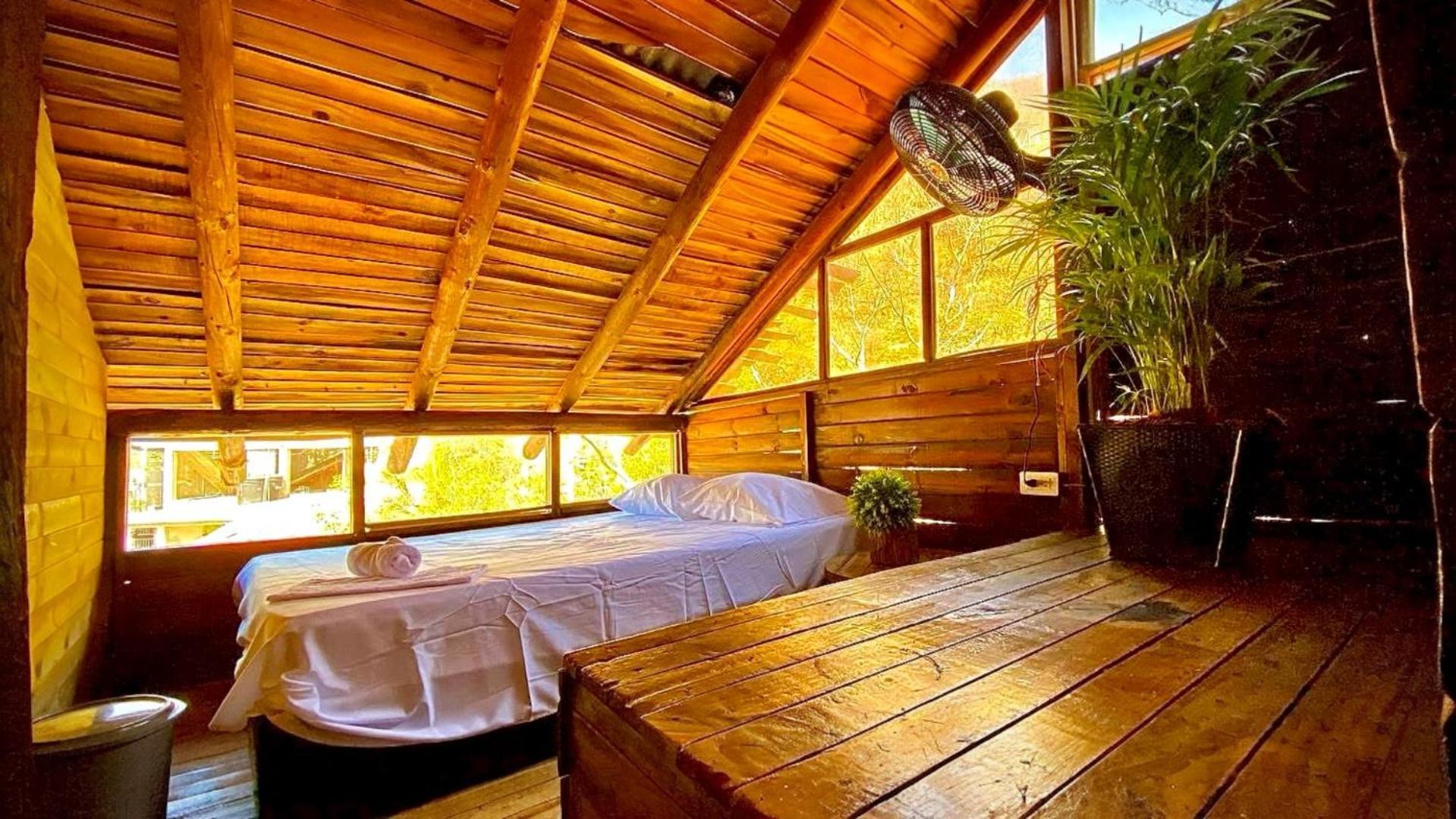 Tamarindo Beach Hostel 타강가 외부 사진