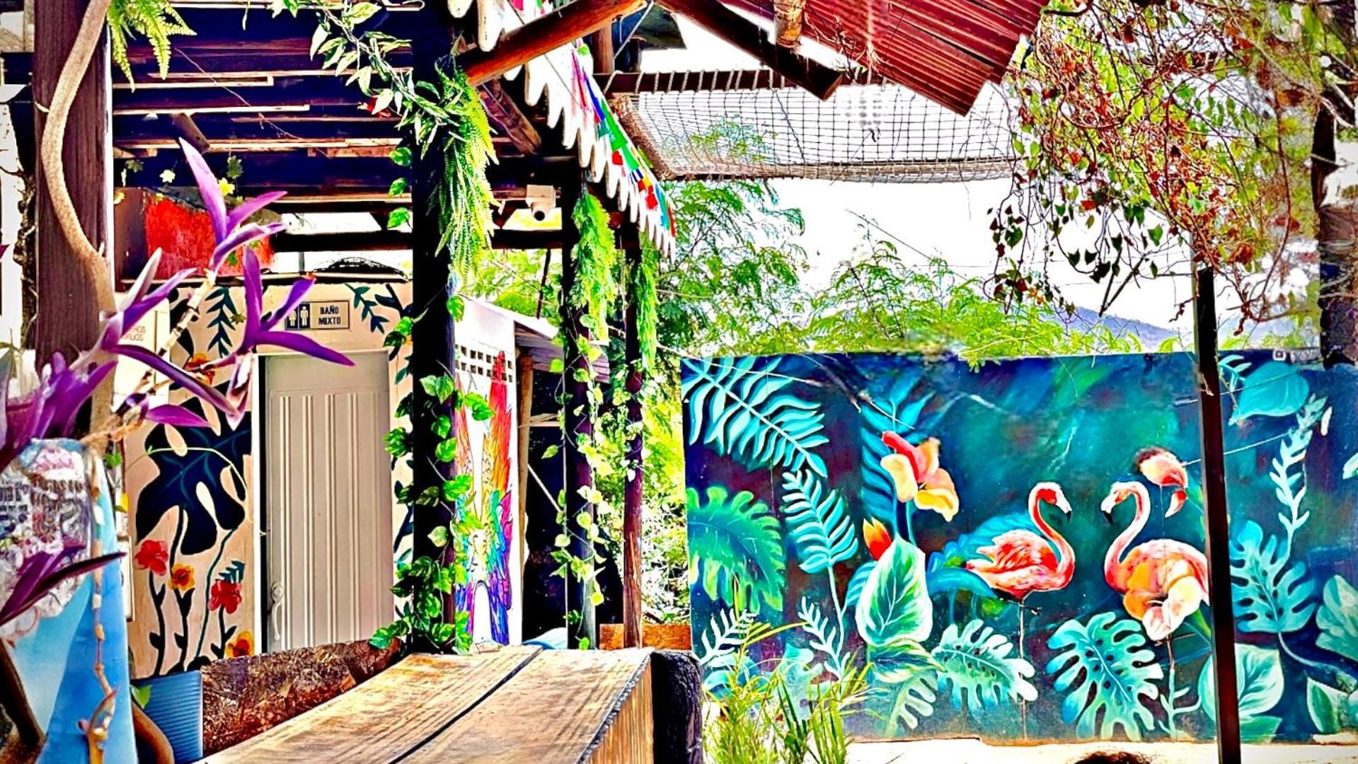 Tamarindo Beach Hostel 타강가 외부 사진